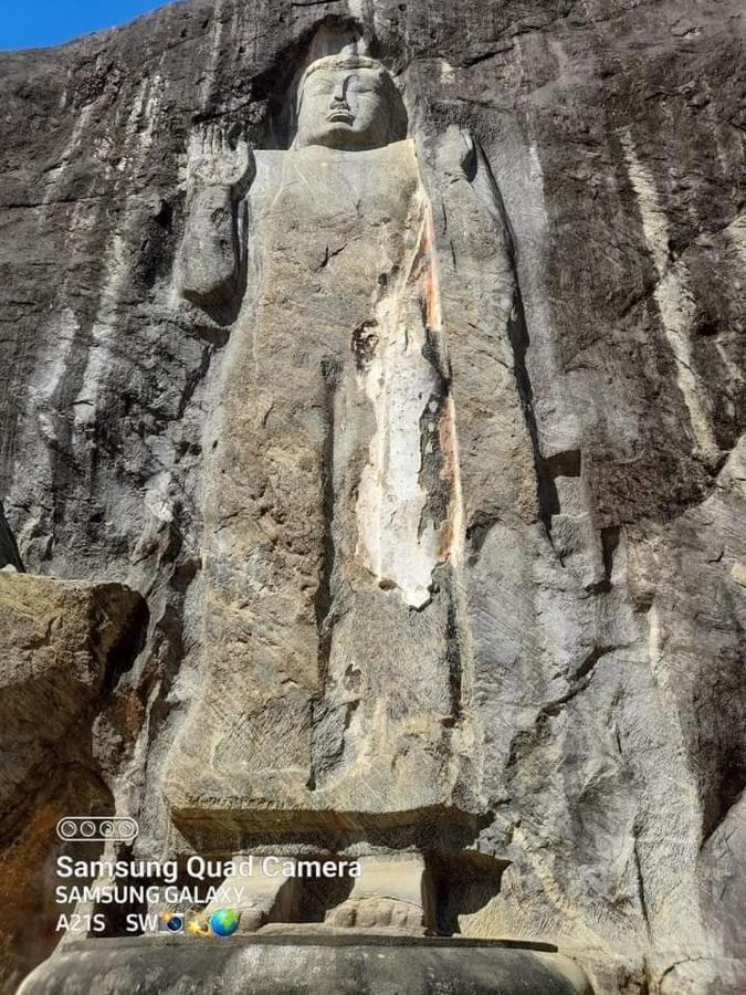 Dinimuthu Rest Inn ويلاوايا المظهر الخارجي الصورة