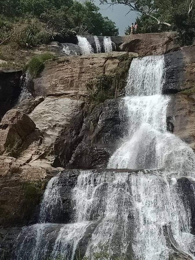 Dinimuthu Rest Inn ويلاوايا المظهر الخارجي الصورة