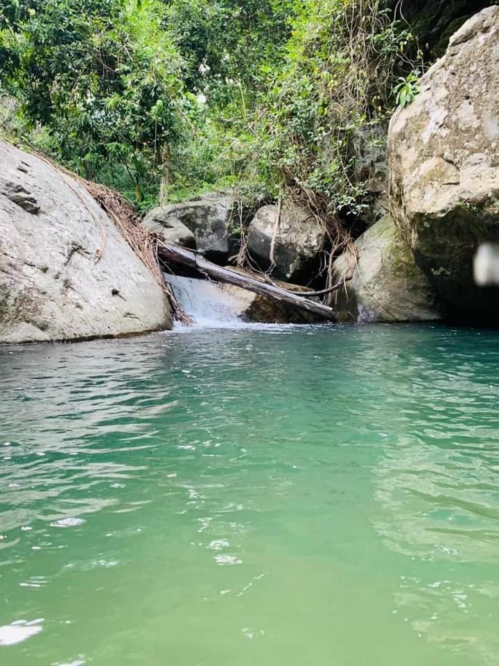 Dinimuthu Rest Inn ويلاوايا المظهر الخارجي الصورة