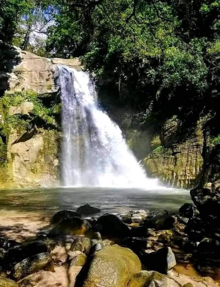 Dinimuthu Rest Inn ويلاوايا المظهر الخارجي الصورة